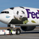 Airport workers watch as the FedEx Panda Express aircraft carrying two giant pandas taxis at the Charles-de-Gaulle airport